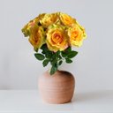 Ver imagem 1 de 10 Rosas Artificiais Creme Decorativas Parecidas com Flores Naturais