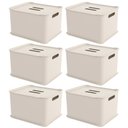 Ver imagem 1 de Kit 6 Caixas Organizadoras 23,9l com Tampa Cesto Brinquedos Closet Bege Coza Fit