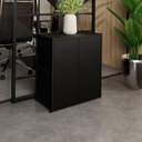 Ver imagem 1 de Armário Escritório Baixo 63cm X 36cm 2 Portas F5 Office Cor:preto