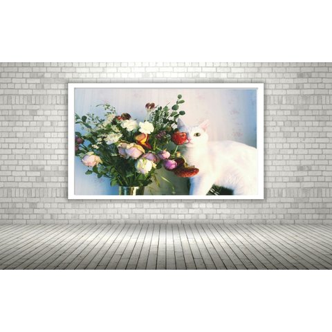 Quadro Decorativo Foto Gata Atras Vaso Flores - 70x50cm:moldura Branca