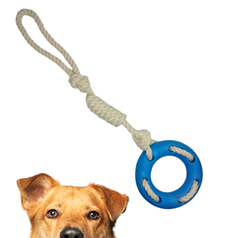 Brinquedo Mordedor de Corda Laço para Cachorro - Azul