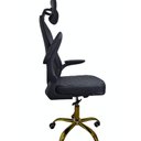 Ver imagem 2 de Cadeira Presidente Sena Luxury Dourado em Courvin