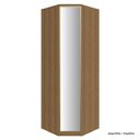 Ver imagem 1 de Guarda Roupa Modulado 01 Porta Vidro Canto Obliquo 245cm Setiba