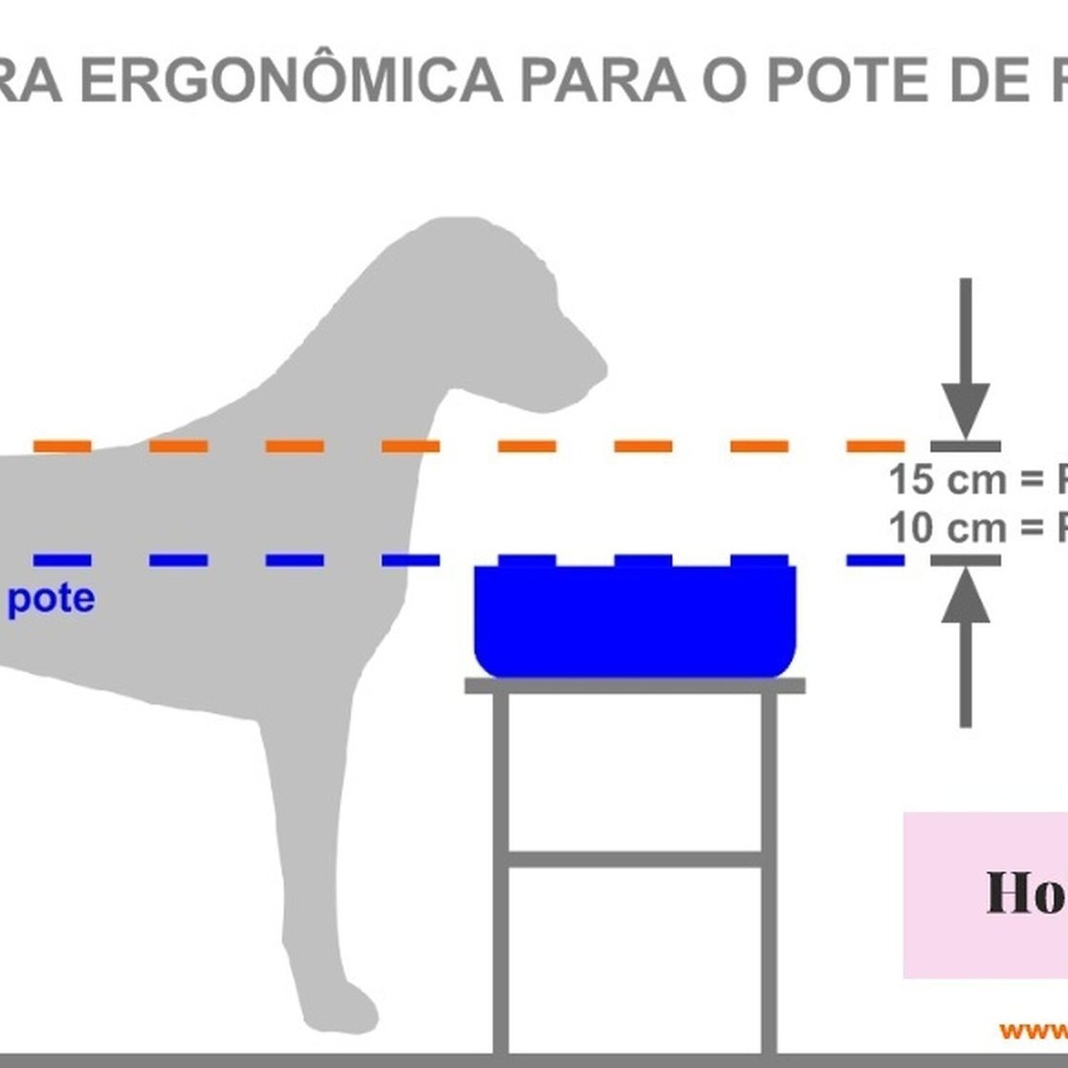 Comedouro e Bebedouro Polly Pequeno - 7