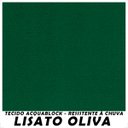 Ver mais imagens de Almofada Impermeável para Balanço Suspenço Ninho - Lisato Oliva