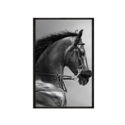 Quadro Decorativo - Cavalo de Perfil Preto e Branco Anm025 Vidro com Impressão Uv - 60x40cm - 2