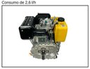 Ver imagem 2 de Motor Buffalo a Diesel 13hp Bfd 13.0 Partida Manual