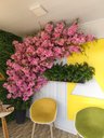 Ver imagem 1 de Cerejeira Arvore Decorativa Instagramavel Rosa 2 Metros Flor
