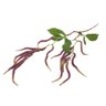 Haste de Flor Amaranto Artificial Lilás 93cm - 1