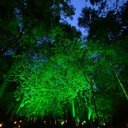 Ver imagem 2 de Refletor Taschibra Led Tr Slim 20w Luz Verde Preto Bivolt