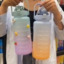 Ver imagem 3 de Garrafa Squeze Motivacional Tripla Bpa Free Enfeites Adesivo: Verde/lilas
