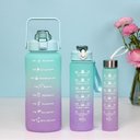 Ver imagem 2 de Garrafa Squeze Motivacional Tripla Bpa Free Enfeites Adesivo: Verde/lilas