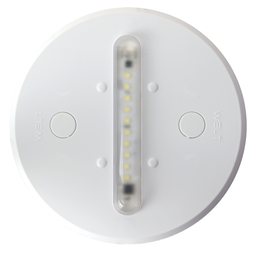 EcoLight Luminária Econômica - Base Branca Transparente - 110V - 1