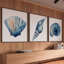 Ver imagem 2 de Quadro Decorativo 3 Telas Conchas Diversos Tamanhos