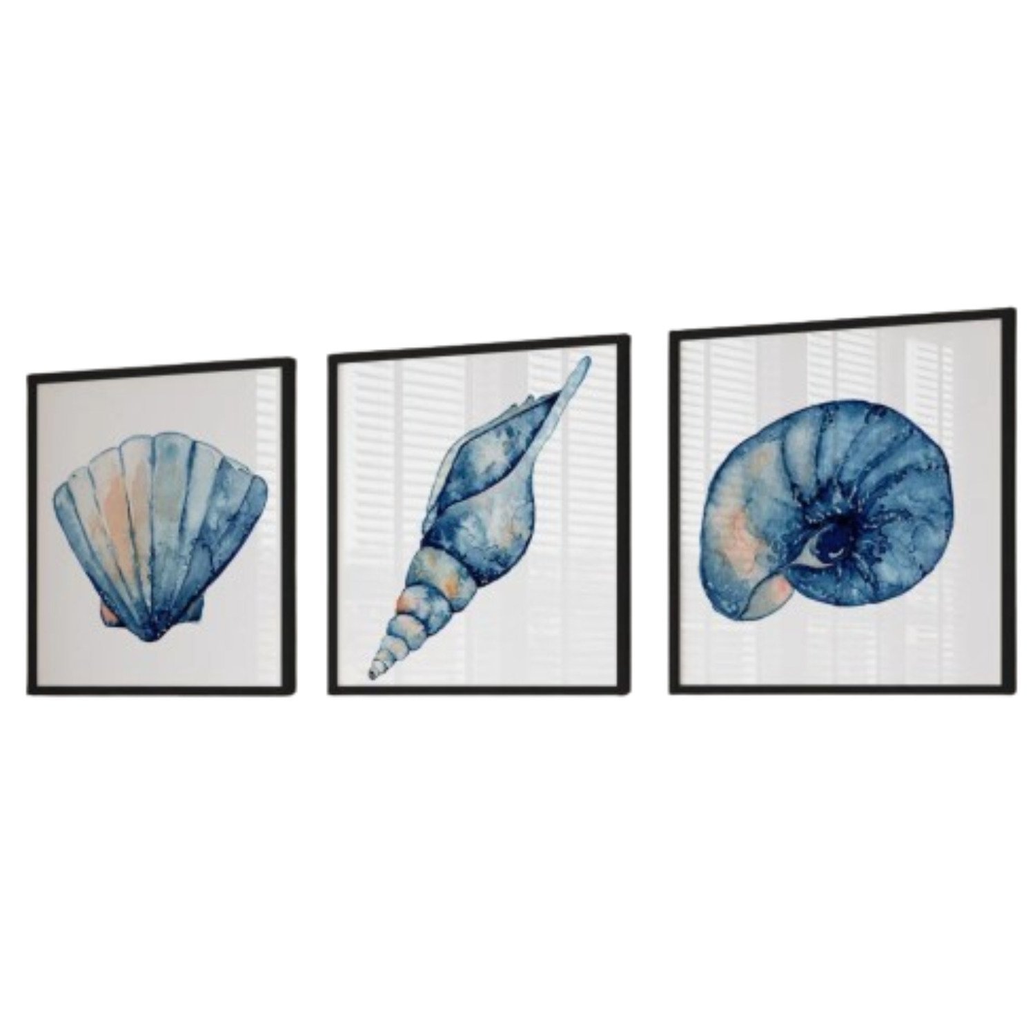 Quadro Decorativo 3 Telas Conchas Diversos Tamanhos - 3