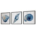 Ver imagem 3 de Quadro Decorativo 3 Telas Conchas Diversos Tamanhos