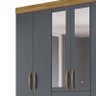 Guarda Roupa Casal New Mafra 7 Portas e 2 Gavetas com Espelho Freijó/Cinza - PR Móveis - 3