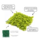Ver imagem 5 de Jardim Vertical Samambaia GG008A (Pack 4PÇ/1m²) Verde Graddus