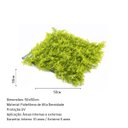 Ver imagem 4 de Jardim Vertical Samambaia GG008A (Pack 4PÇ/1m²) Verde Graddus
