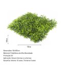 Ver imagem 4 de Jardim Vertical Havaiana Samambaia GG008D (Pack 4PÇ/1m²) Verde Graddus