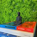 Ver imagem 3 de Jardim Vertical Cipreste Gg054a (pack 4pç / 1m²)