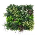Ver imagem 4 de Jardim Vertical Premium Atlântica Gg045abcd (pack 4pç / 1m²)