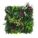 Ver imagem 1 de Jardim Vertical Premium Atlântica Gg045abcd (pack 4pç / 1m²)
