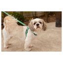 Ver imagem 5 de Coleira Cachorros com Guia Monstrinhos P Style