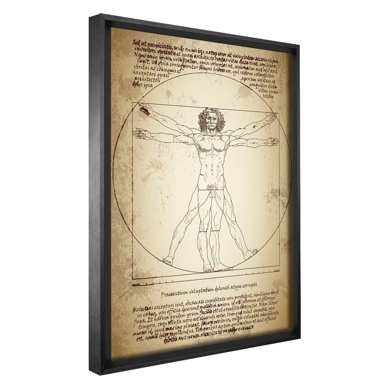 Quadro Decorativo 1 Tela Artista Leonardo da Vinci o Homem Vitruviano - 1