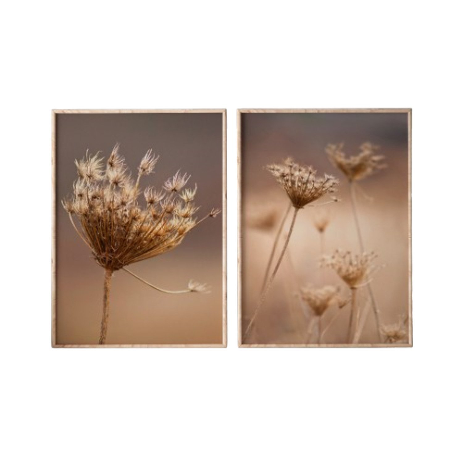 Quadro Decorativo 2 Telas Florais e Folhagens Diversos Tamanhos - 2