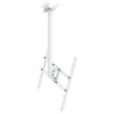 Ver imagem 1 de SUPORTE TETO TV 10" a 65" VESA 600X400 GIRO 360° BRANCO
