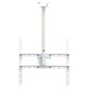 Ver mais imagens de SUPORTE TETO TV 10" a 65" VESA 600X400 GIRO 360° BRANCO