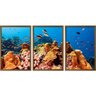 Quadro Decorativo 3 Telas Fundo do Mar Diversos Tamanhos - 2