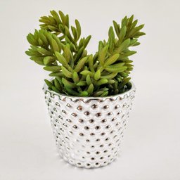 Vaso Prata 7x8x8cm Cachepot Decoração Bolinha - 4