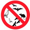 Ver imagem 5 de Tela Passarinheira Telha Fibrocimento Onda Baixa Cinza 25 Un