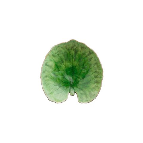 Folha Alquemila 18 Cm Vereda