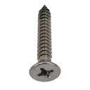 Ver imagem 4 de Parafuso Inox Auto Atarraxante Chata Phillips Stein 6,3x38 Caixa com 75 Peças