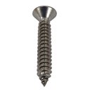 Ver imagem 3 de Parafuso Inox Auto Atarraxante Chata Phillips Stein 6,3x38 Caixa com 75 Peças