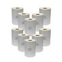 Ver imagem 1 de Kit 10 Etiqueta Adesiva Térmica Zebra Ecommerce 100x150mm