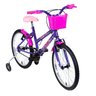 Bicicleta Aro 20 Infantil Mtb Girl com Roda Lateral - 2