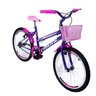 Bicicleta Aro 20 Feminina Infantil Quadro Mtb - 2