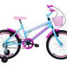 Bicicleta Aro 20 Feminina Infantil Roda Lateral - 1