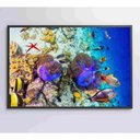 Ver imagem 7 de Quadro Peixes Coloridos Fundo do Mar Medidas 120x80 Cm Impressão Tecido Canvas