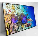 Ver imagem 6 de Quadro Peixes Coloridos Fundo do Mar Medidas 120x80 Cm Impressão Tecido Canvas