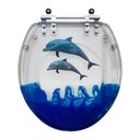 Ver imagem 1 de Tampa de Vaso Sanitário Decorada Azul com Golfinho