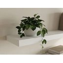 Ver imagem 4 de Kit 3 Prateleiras Branca Mdp 60x20 + 40x20 + 80x20 com Suporte