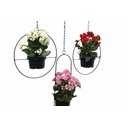 Ver imagem 2 de Suporte para Plantas de Parede Vasos de Sflor Ferro Artesanal Jardineira Decoração Mão Francesa Arar