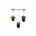 Ver imagem 3 de Suporte para Plantas de Parede Vasos de Sflor Ferro Artesanal Jardineira Decoração Mão Francesa Arar