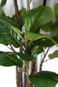 Ver imagem 4 de PLANTA ARTIFICIAL ÁRVORE LYRATA 120CM FOLHAGEM GRANDE LUXO