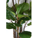 Ver imagem 4 de PLANTA ARTIFICIAL ÁRVORE LYRATA 120CM FOLHAGEM GRANDE LUXO